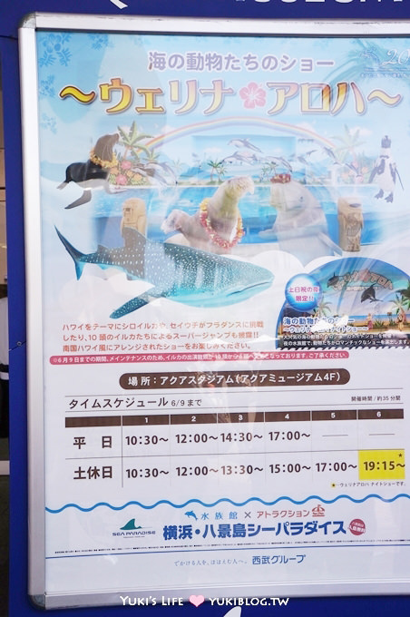 日本┃橫濱‧八景島海島樂園親子遊→無限感動の親密水族館×遊樂園（上）也適合約會喲！ - yuki.tw