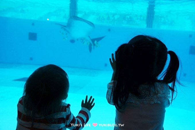 日本┃橫濱‧八景島海島樂園親子遊→無限感動の親密水族館×遊樂園（上）也適合約會喲！ - yuki.tw