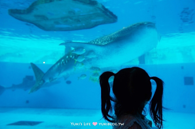 日本┃橫濱‧八景島海島樂園親子遊→無限感動の親密水族館×遊樂園（上）也適合約會喲！ - yuki.tw