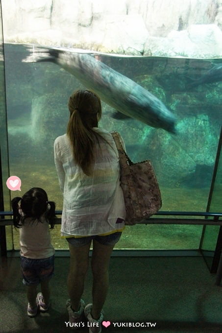 日本┃橫濱‧八景島海島樂園親子遊→無限感動の親密水族館×遊樂園（上）也適合約會喲！ - yuki.tw