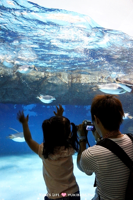 日本┃橫濱‧八景島海島樂園親子遊→無限感動の親密水族館×遊樂園（上）也適合約會喲！ - yuki.tw