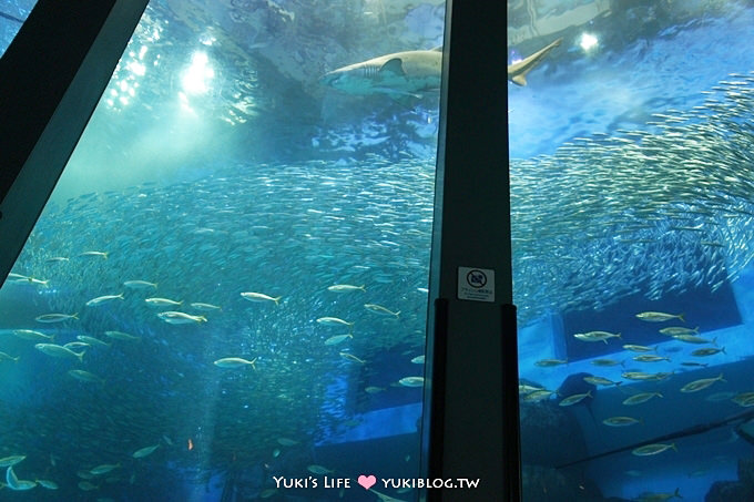 日本┃橫濱‧八景島海島樂園親子遊→無限感動の親密水族館×遊樂園（上）也適合約會喲！ - yuki.tw