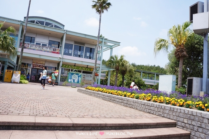 日本┃橫濱‧八景島海島樂園親子遊→無限感動の親密水族館×遊樂園（上）也適合約會喲！ - yuki.tw