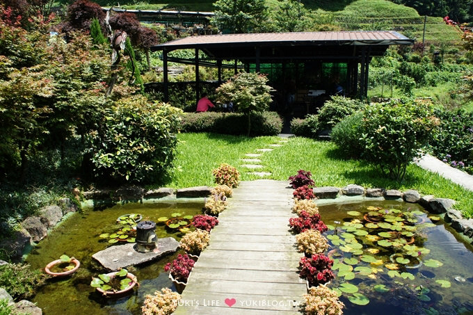 台北遊記┃陽明山竹子湖‧大梯田花卉生態農場～繡球花盛開❤(5/30拍攝.含交通指南) - yuki.tw