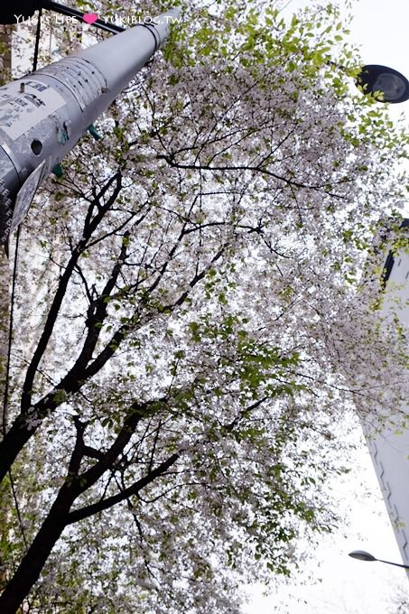 韓國首爾親子自由行【賞櫻花】櫻花季時路邊隨處有美景 @忠武路站 - yuki.tw
