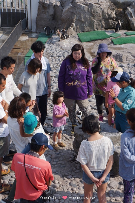 日本┃橫濱‧八景島海島樂園親子遊→全新開幕的海洋莊園×超近距離接觸企鵝の感動（下） - yuki.tw