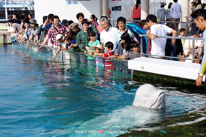 日本┃橫濱‧八景島海島樂園親子遊→全新開幕的海洋莊園×超近距離接觸企鵝の感動（下） - yuki.tw