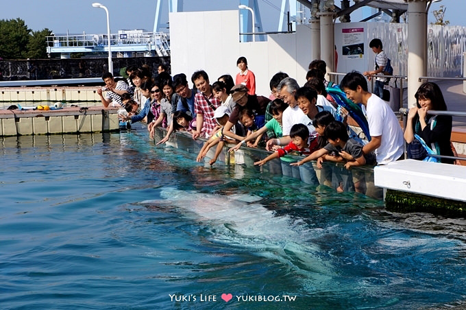 日本┃橫濱‧八景島海島樂園親子遊→全新開幕的海洋莊園×超近距離接觸企鵝の感動（下） - yuki.tw