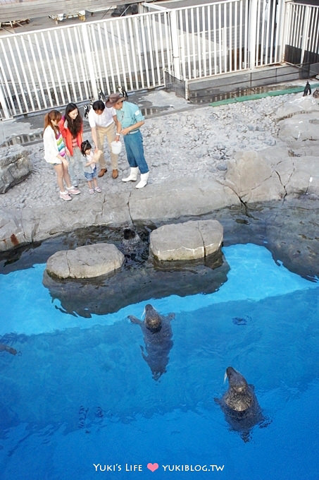 日本┃橫濱‧八景島海島樂園親子遊→全新開幕的海洋莊園×超近距離接觸企鵝の感動（下） - yuki.tw