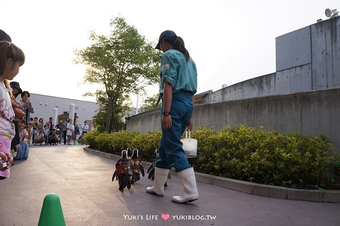 日本┃橫濱‧八景島海島樂園親子遊→全新開幕的海洋莊園×超近距離接觸企鵝の感動（下） - yuki.tw