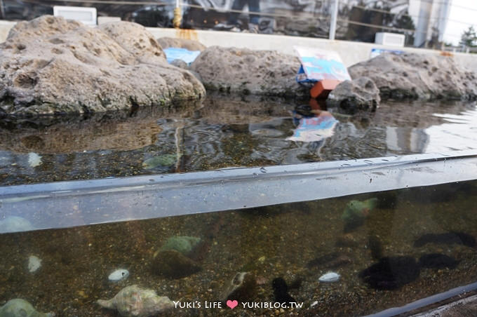 日本┃橫濱‧八景島海島樂園親子遊→全新開幕的海洋莊園×超近距離接觸企鵝の感動（下） - yuki.tw