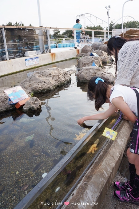 日本┃橫濱‧八景島海島樂園親子遊→全新開幕的海洋莊園×超近距離接觸企鵝の感動（下） - yuki.tw