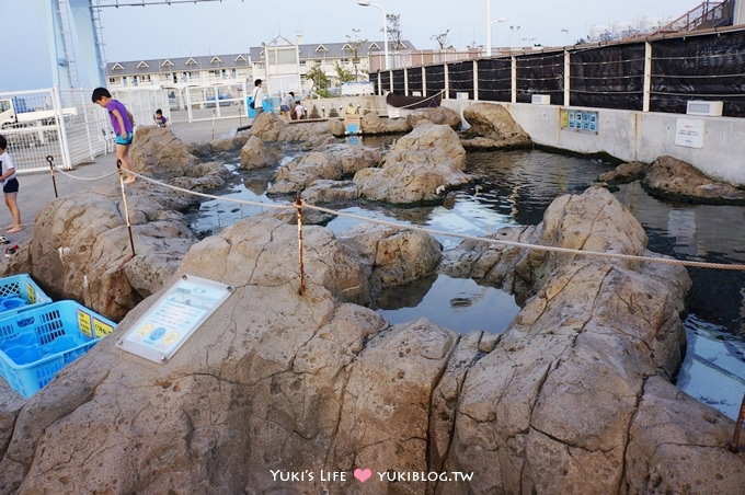 日本┃橫濱‧八景島海島樂園親子遊→全新開幕的海洋莊園×超近距離接觸企鵝の感動（下） - yuki.tw