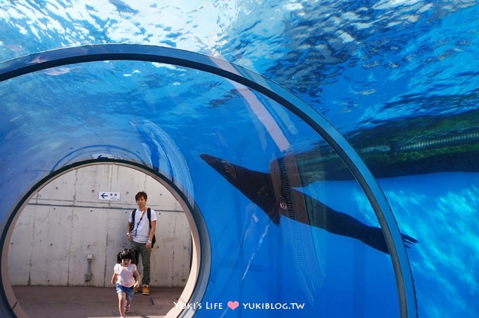 日本┃橫濱‧八景島海島樂園親子遊→全新開幕的海洋莊園×超近距離接觸企鵝の感動（下） - yuki.tw