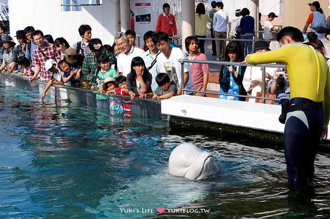 日本┃橫濱‧八景島海島樂園親子遊→全新開幕的海洋莊園×超近距離接觸企鵝の感動（下） - yuki.tw