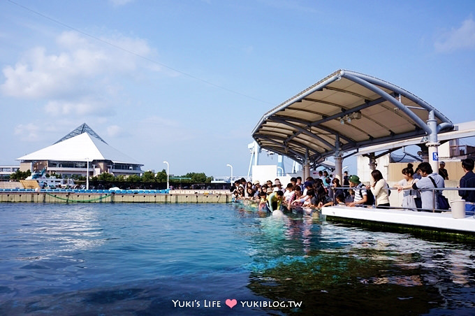 日本┃橫濱‧八景島海島樂園親子遊→全新開幕的海洋莊園×超近距離接觸企鵝の感動（下） - yuki.tw