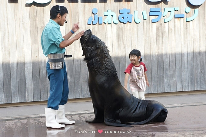 日本┃橫濱‧八景島海島樂園親子遊→全新開幕的海洋莊園×超近距離接觸企鵝の感動（下） - yuki.tw