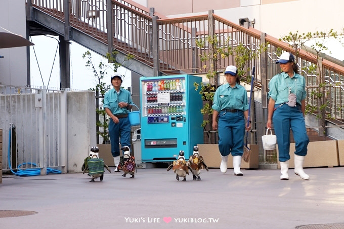 日本┃橫濱‧八景島海島樂園親子遊→全新開幕的海洋莊園×超近距離接觸企鵝の感動（下） - yuki.tw