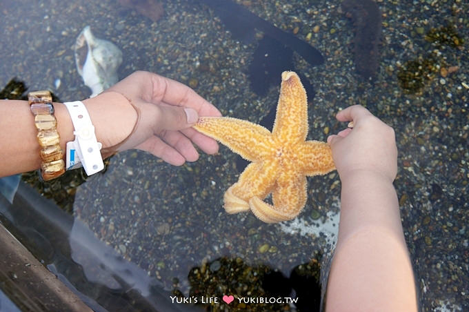 日本┃橫濱‧八景島海島樂園親子遊→全新開幕的海洋莊園×超近距離接觸企鵝の感動（下） - yuki.tw