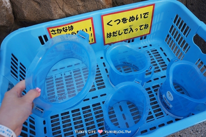 日本┃橫濱‧八景島海島樂園親子遊→全新開幕的海洋莊園×超近距離接觸企鵝の感動（下） - yuki.tw