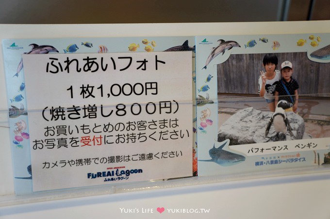 日本┃橫濱‧八景島海島樂園親子遊→全新開幕的海洋莊園×超近距離接觸企鵝の感動（下） - yuki.tw