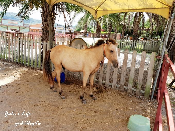 新竹景點【小牛仔休閒園區】玩水烤肉趣×手划船、小動物農莊放電一整天 - yuki.tw