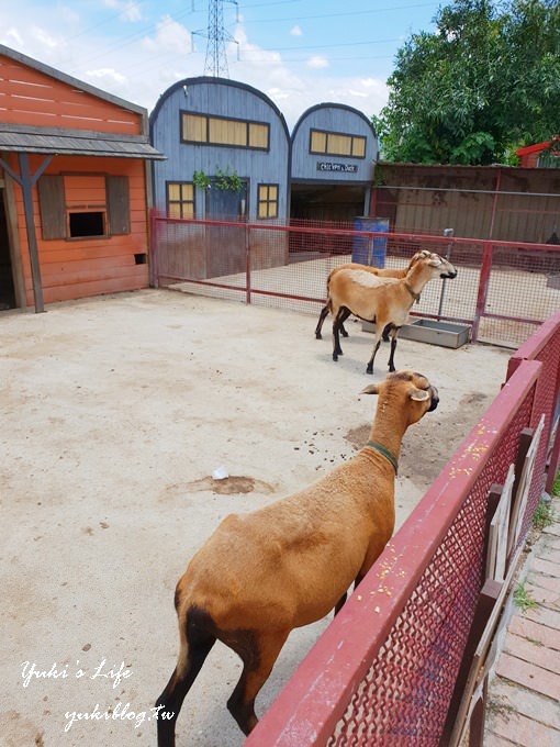 新竹景點【小牛仔休閒園區】玩水烤肉趣×手划船、小動物農莊放電一整天 - yuki.tw