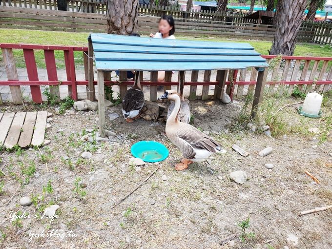 新竹景點【小牛仔休閒園區】玩水烤肉趣×手划船、小動物農莊放電一整天 - yuki.tw