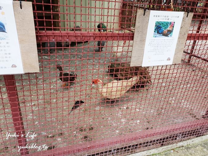 新竹景點【小牛仔休閒園區】玩水烤肉趣×手划船、小動物農莊放電一整天 - yuki.tw