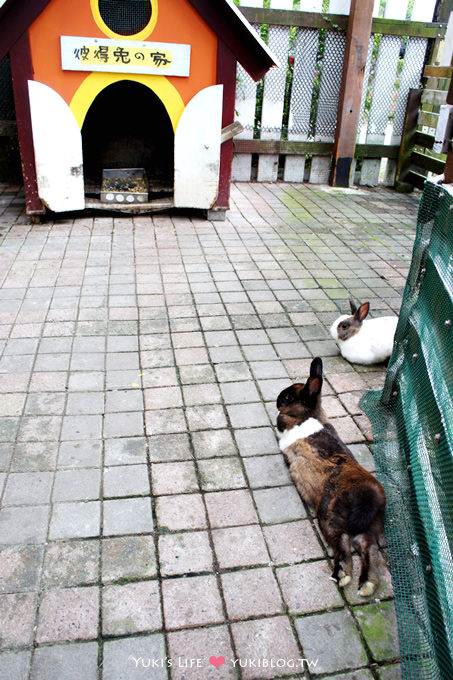 宜蘭景點【幸福20號農場】水果體驗學校、可愛動物、親子DIY活動~親子同遊好去處 - yuki.tw