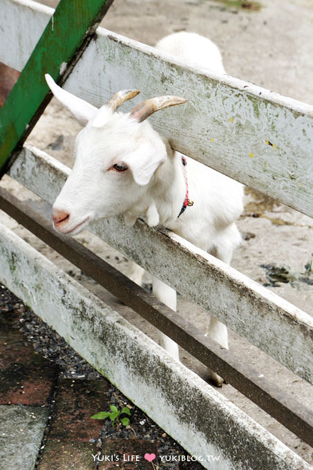 宜蘭景點【幸福20號農場】水果體驗學校、可愛動物、親子DIY活動~親子同遊好去處 - yuki.tw