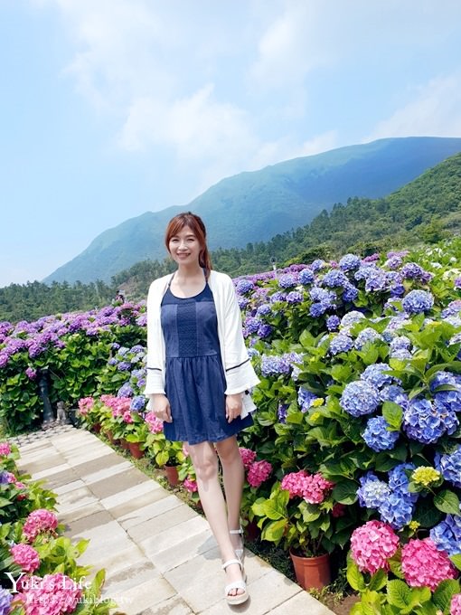 陽明山繡球花季推廌景點【頂湖財福繡球花園】淹沒在紫色繡球花田超浪漫！ - yuki.tw