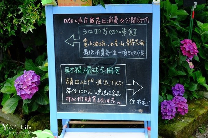 陽明山繡球花季推廌景點【頂湖財福繡球花園】淹沒在紫色繡球花田超浪漫！ - yuki.tw