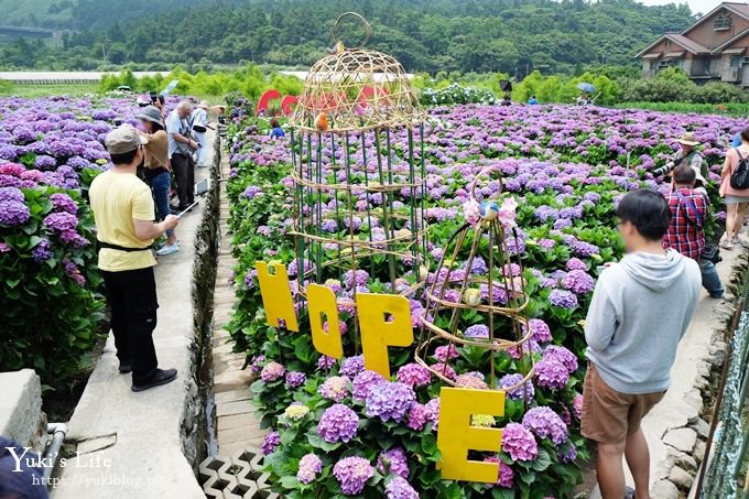 陽明山繡球花季推廌景點【頂湖財福繡球花園】淹沒在紫色繡球花田超浪漫！ - yuki.tw