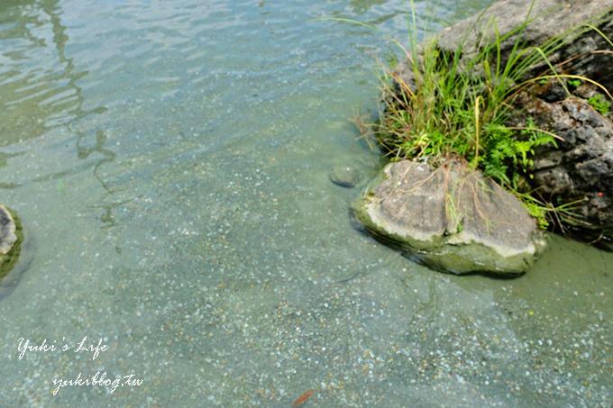 花蓮景點【立川漁場文化生態館】親子景點×玩水撈黃金蜆×蜆冰淇淋必吃~全家出遊好去處！ - yuki.tw