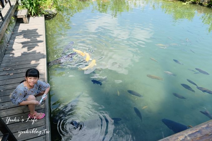 花蓮景點【立川漁場文化生態館】親子景點×玩水撈黃金蜆×蜆冰淇淋必吃~全家出遊好去處！ - yuki.tw