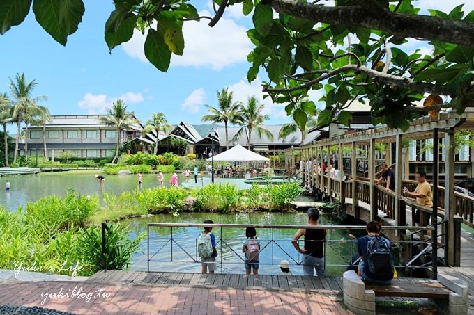 花蓮景點【立川漁場文化生態館】親子景點×玩水撈黃金蜆×蜆冰淇淋必吃~全家出遊好去處！ - yuki.tw