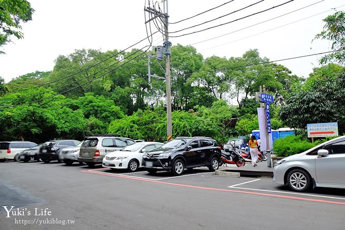 新北油桐花【土城桐花公園】親子景點 森林冒險場×刺激三角吊橋 特色公園(交通) - yuki.tw