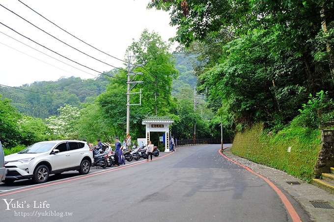 新北油桐花【土城桐花公園】親子景點 森林冒險場×刺激三角吊橋 特色公園(交通) - yuki.tw