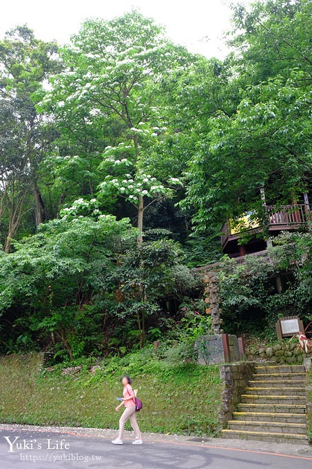 新北油桐花【土城桐花公園】親子景點 森林冒險場×刺激三角吊橋 特色公園(交通) - yuki.tw