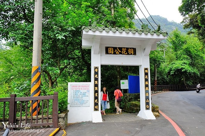 新北油桐花【土城桐花公園】親子景點 森林冒險場×刺激三角吊橋 特色公園(交通) - yuki.tw