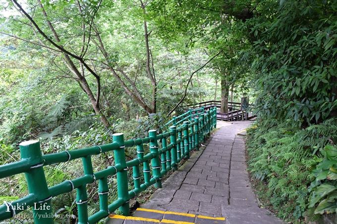 新北油桐花【土城桐花公園】親子景點 森林冒險場×刺激三角吊橋 特色公園(交通) - yuki.tw