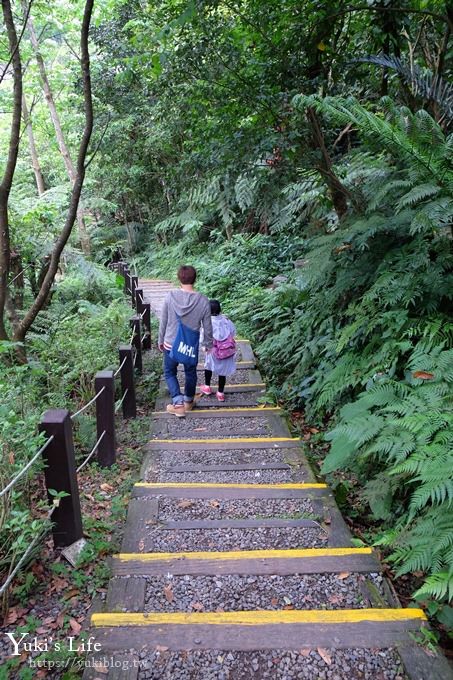 新北油桐花【土城桐花公園】親子景點 森林冒險場×刺激三角吊橋 特色公園(交通) - yuki.tw