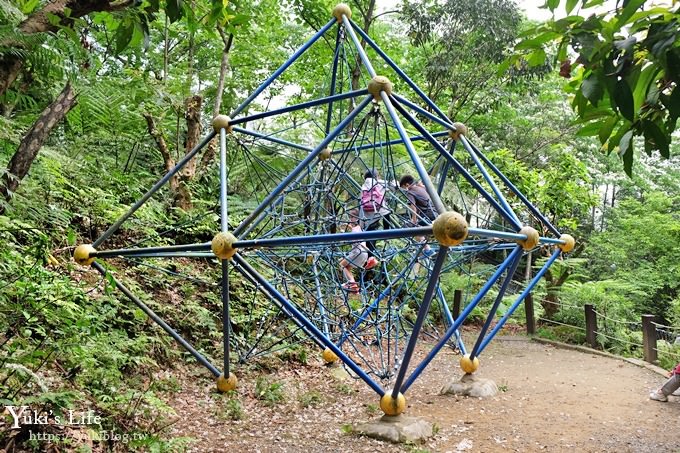 新北油桐花【土城桐花公園】親子景點 森林冒險場×刺激三角吊橋 特色公園(交通) - yuki.tw