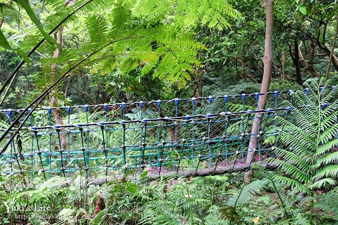 新北油桐花【土城桐花公園】親子景點 森林冒險場×刺激三角吊橋 特色公園(交通) - yuki.tw