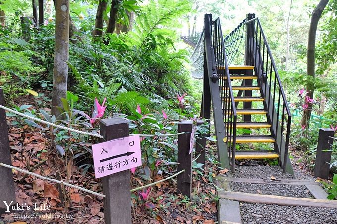 新北油桐花【土城桐花公園】親子景點 森林冒險場×刺激三角吊橋 特色公園(交通) - yuki.tw