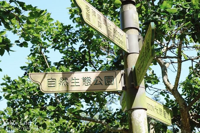 桃園景點【三坑自然生態公園】免費玩水大草坪×野餐親子景點！ - yuki.tw