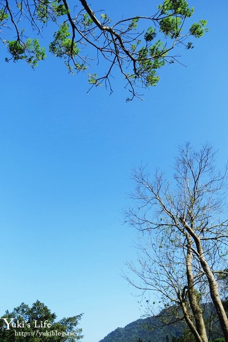 桃園景點【三坑自然生態公園】免費玩水大草坪×野餐親子景點！ - yuki.tw