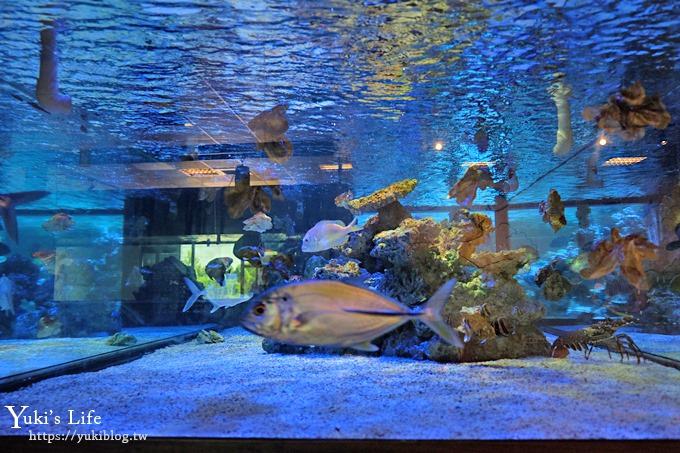 宜蘭親子景點【金車生技水產養殖研發中心】根本是水族館超好逛、鮮蝦現場吃、兒童遊戲區 - yuki.tw