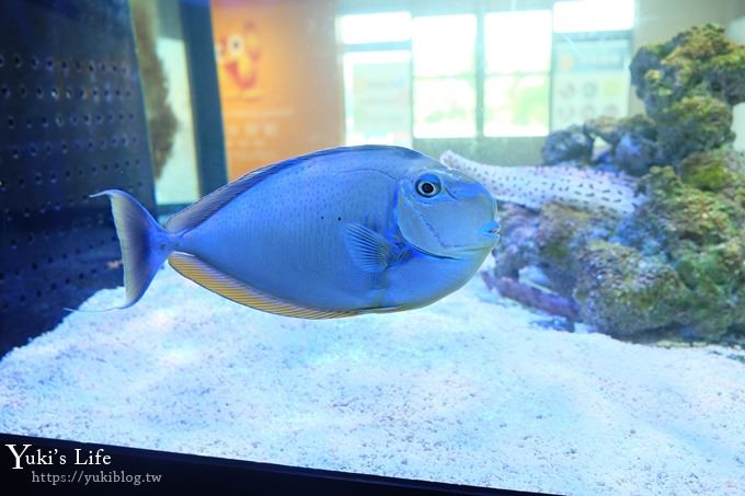 DSCF0969 免費！宜蘭景點【金車生技水產養殖研發中心】媲美水族館超好逛！礁溪室內親子景點、鮮蝦現場吃！兒童遊戲區❤